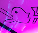 Showtime Pink Limo Perth Bunny interior design